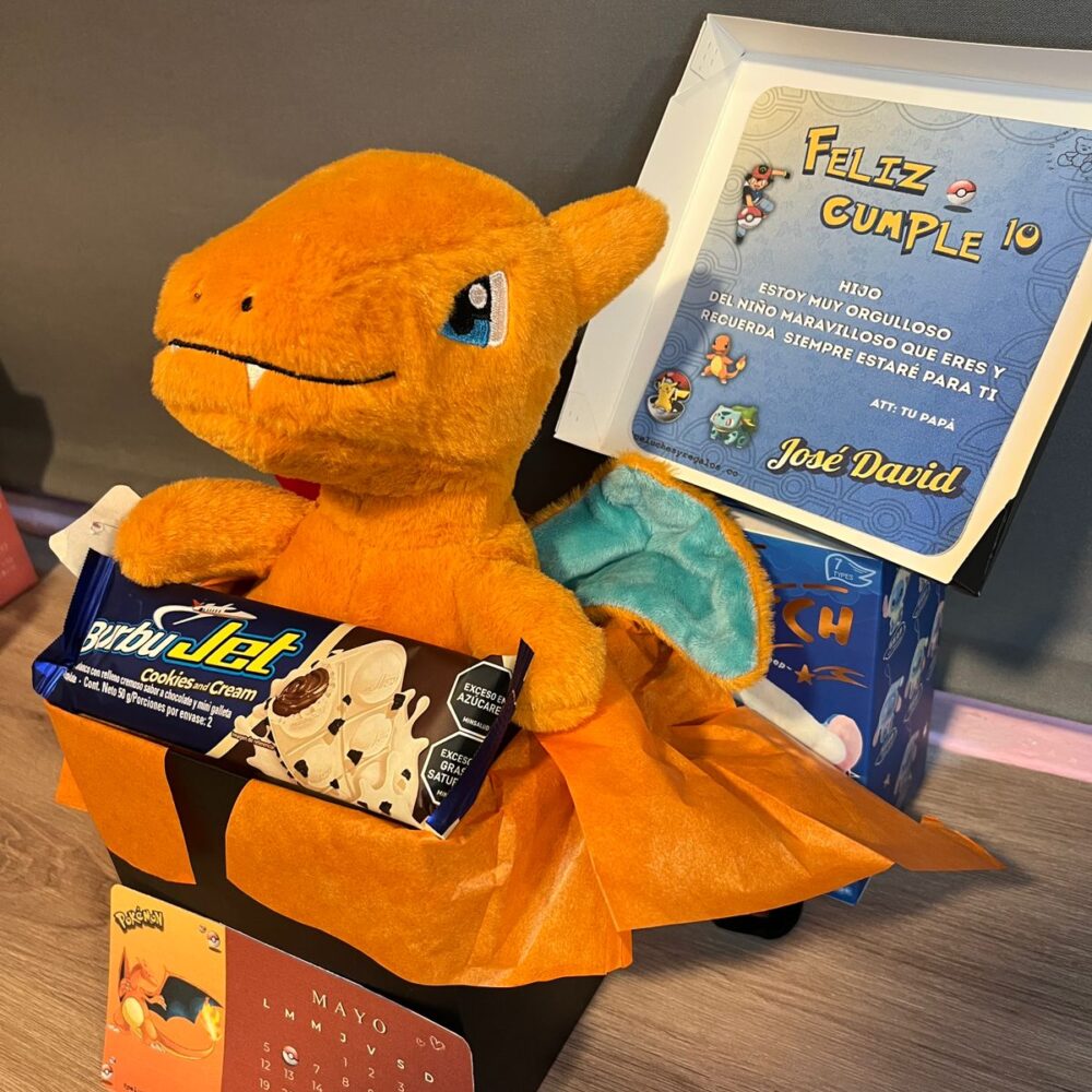 Combo Charizard 25cm - COMBOCAJA25