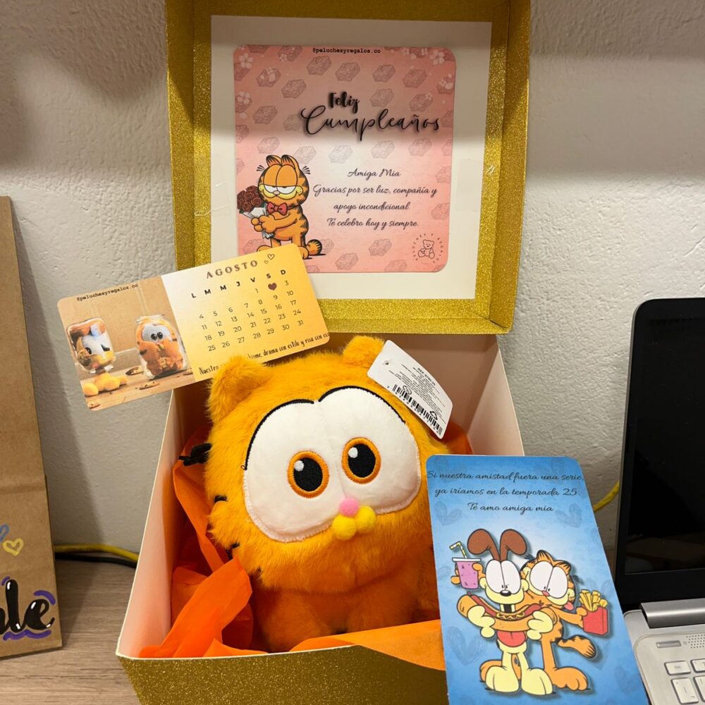 Combo Caja Bebe Garfield 22cm - COMBOCAJA22
