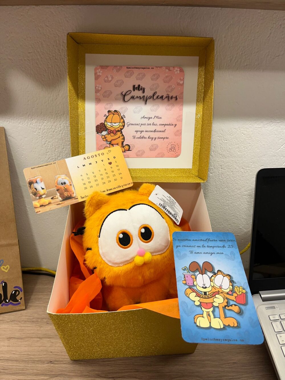 Combo Caja Bebe Garfield 22cm - COMBOCAJA22