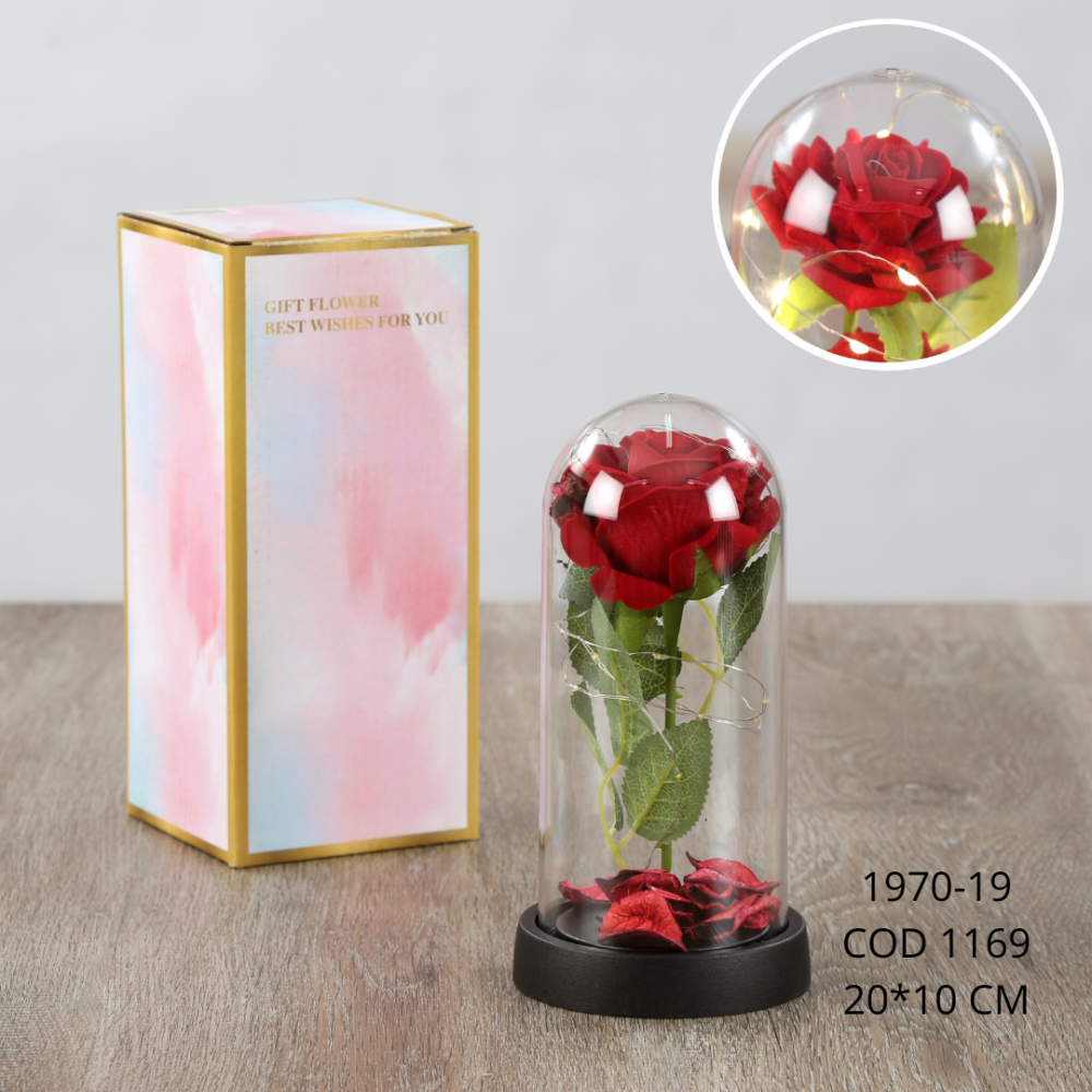 Rosa eterna 20*10cm - 1970-19